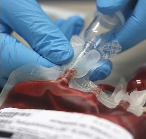 Viêm gan B lây truyền qua tiếp xúc với máu hoặc các chất dịch cơ thể 