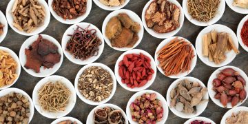 4 bài thuốc trị viêm gan siêu vi B bằng thuốc nam vô cùng hiệu quả