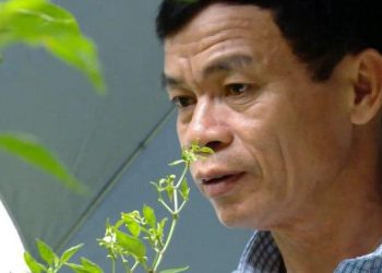 Chữa xơ gan 2 năm không đỡ, đẩy lùi bệnh chỉ sau 6 tháng