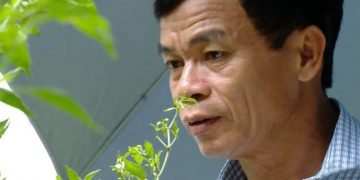 Chữa xơ gan 2 năm không đỡ, đẩy lùi bệnh chỉ sau 6 tháng