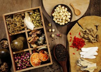 Top 4 bài thuốc nam hỗ trợ điều trị xơ gan vô cùng hiệu quả