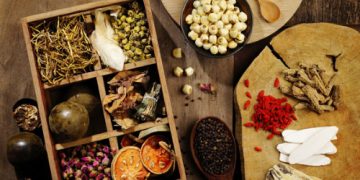 Top 4 bài thuốc nam hỗ trợ điều trị xơ gan vô cùng hiệu quả