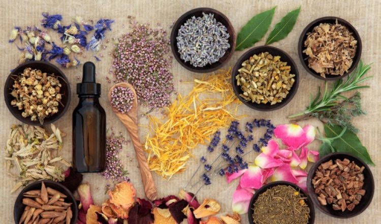 Top 5 bài thuốc đẩy lùi bệnh gan hiệu quả nhất hiện nay