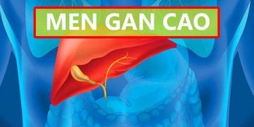 Men gan cao – Nguyên nhân, biểu hiện, biến chứng và cách điều trị