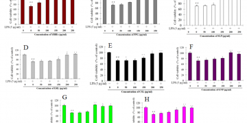 Nghiên cứu tác dụng Ưng Bất Bạc trong việc hỗ trợ các vấn đề về gan so với các thảo dược khác