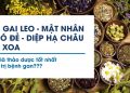 Cà gai leo, Mật nhân, Chó đẻ, Diệp hạ châu, An xoa… Đâu là thảo dược tốt nhất điều trị bệnh gan